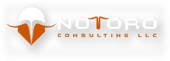 NOTORO CONSULTING LLC